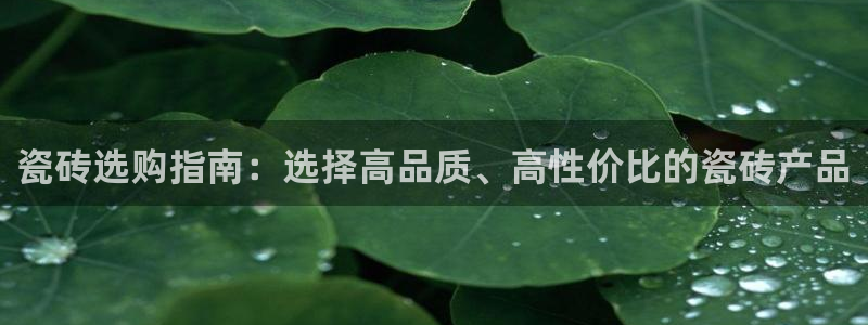 必一体育app下载
