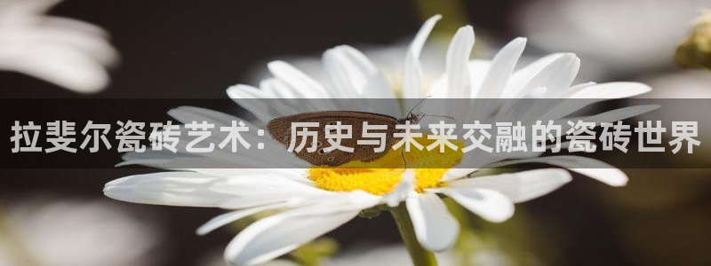 必一体育网页