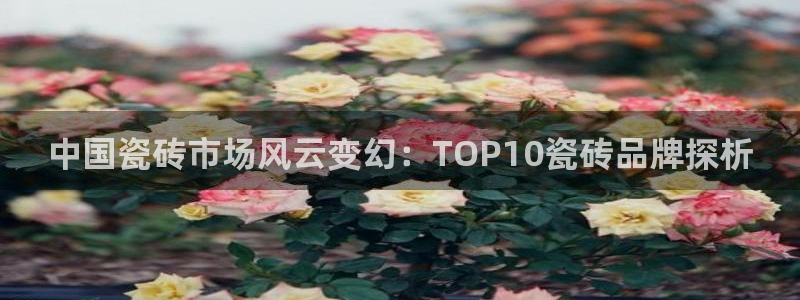 必一体育app下载安装