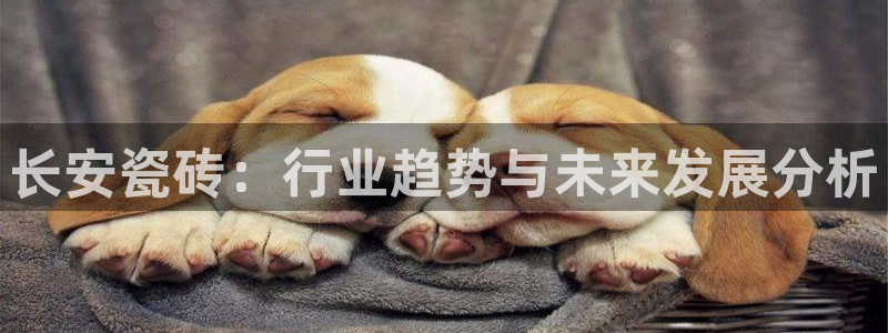 必一体育app下载最新版本