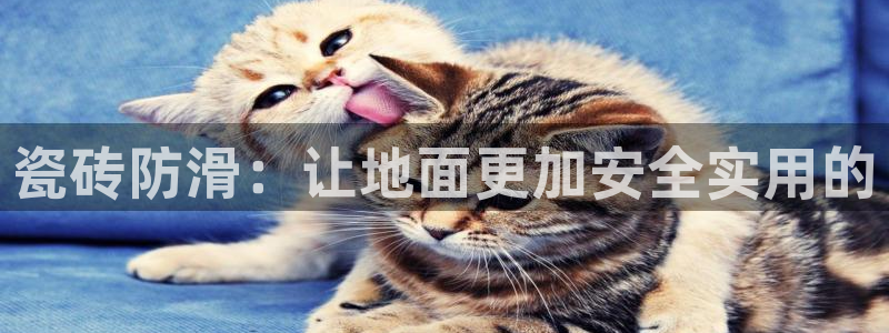 必一体育sportB体育