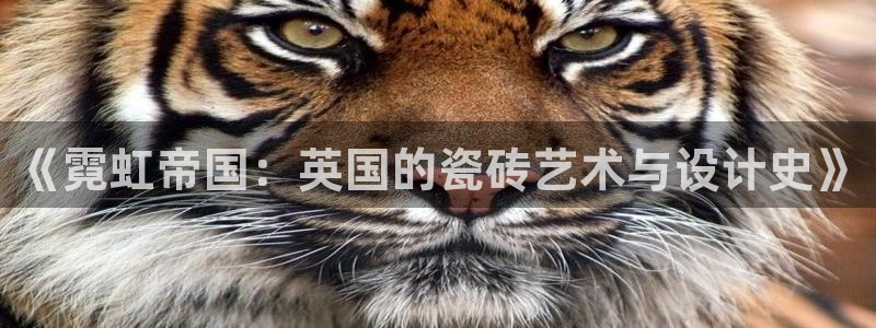 必一体育官方下载入口