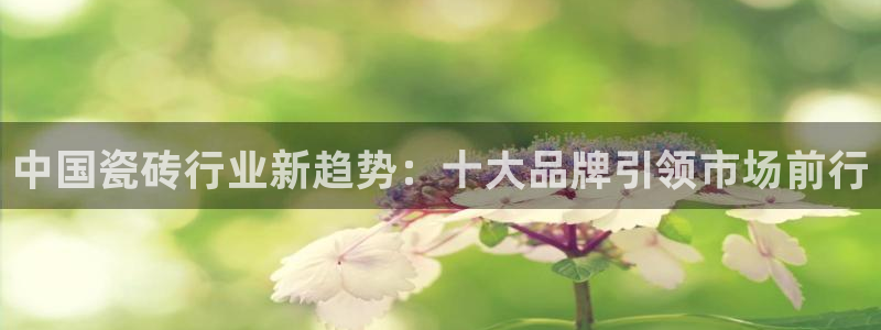 必十二和必一的副作用