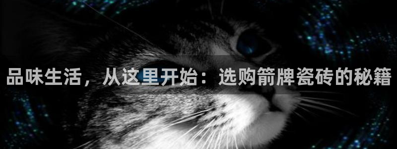 必一体育最新官网入口首页