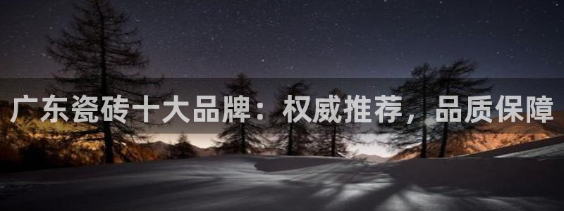 必一体育在线官网