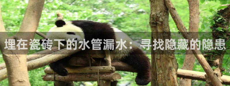 必一体育bsport下载