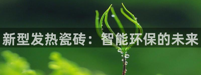 必一体育官方网站入口