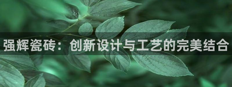 必一体育服下载最新版本更新内容