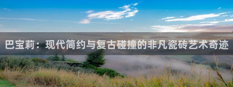 必一运动 b 体育素描版