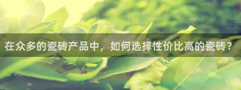 必一体育app官方下载入口