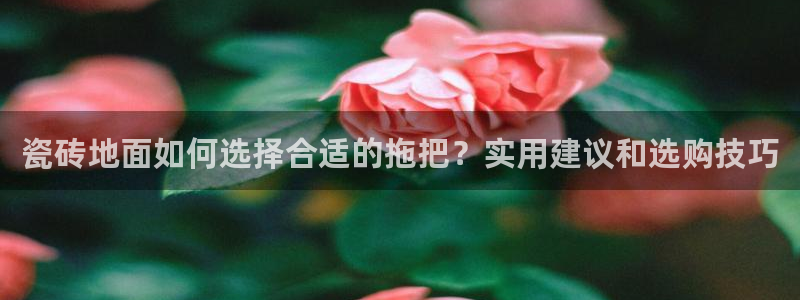 必一体育sport装机吧
