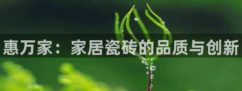 必一运动sport爱查股