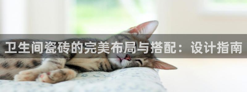 必一体育手机下载