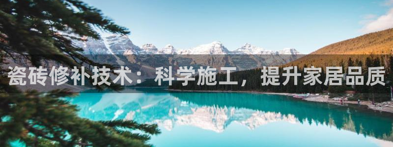 必一运动体