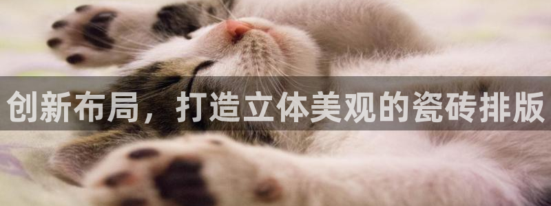 必一体育最新官网入口首页