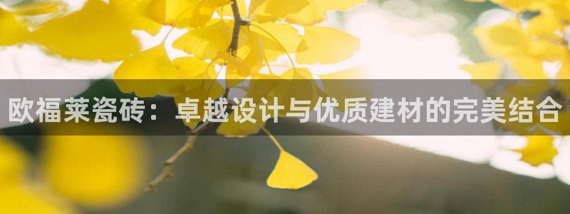 必一体育app下载装机吧