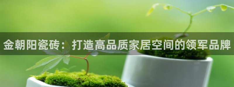必一体育在哪下