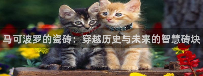 必一运动官网登录入口