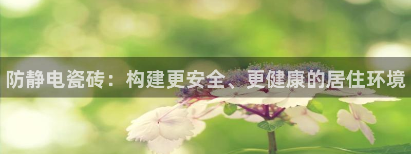必一体育官方网站入口
