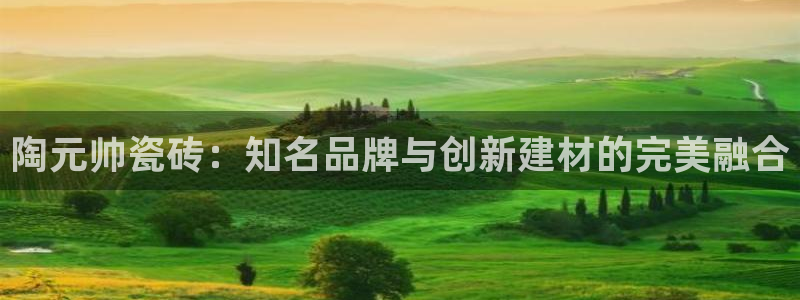 必一体育最新官网入口首页