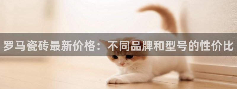 必一体育bsport下载