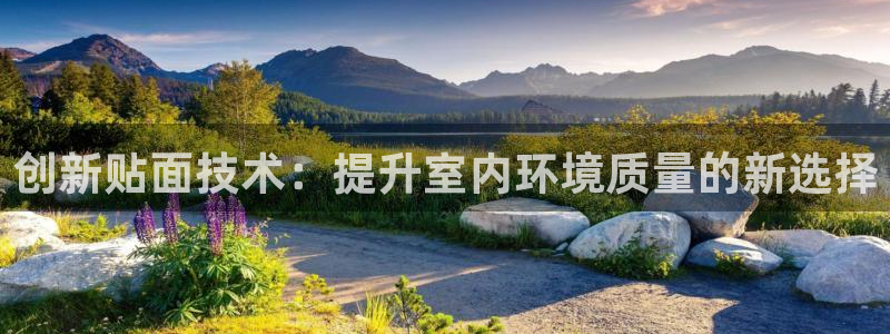 必一体育运动平台官网
