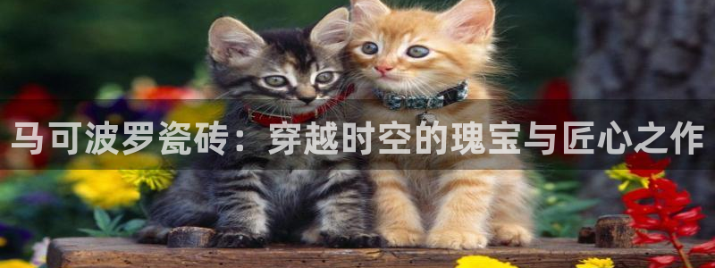 必一体育游戏玩法