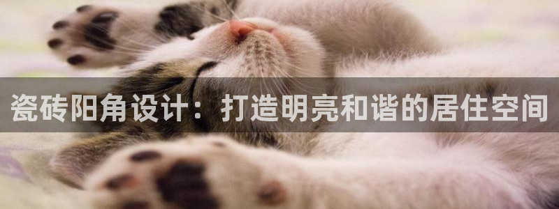 必一体育app下载最新版本