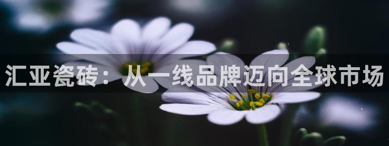 必一运动·(B-Sports)土豆