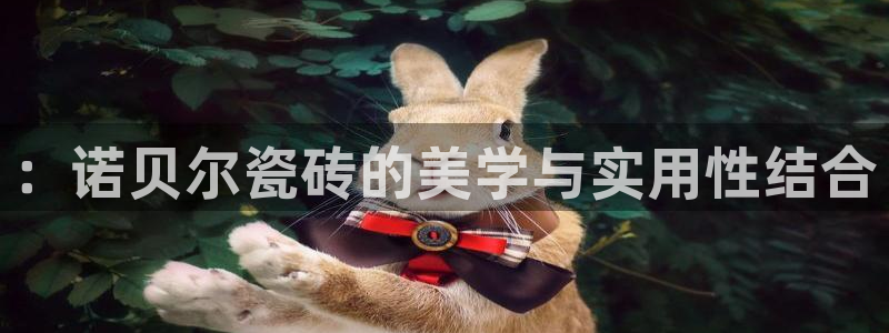 b体育官网下载入口app必一