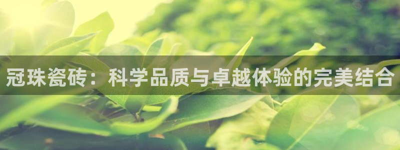 必一体育官网网址