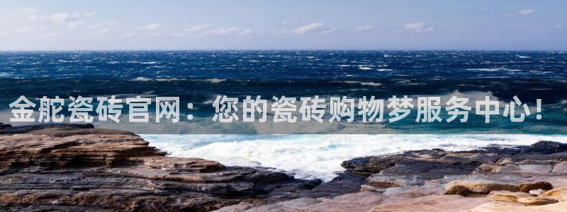 必一体育app官方网站