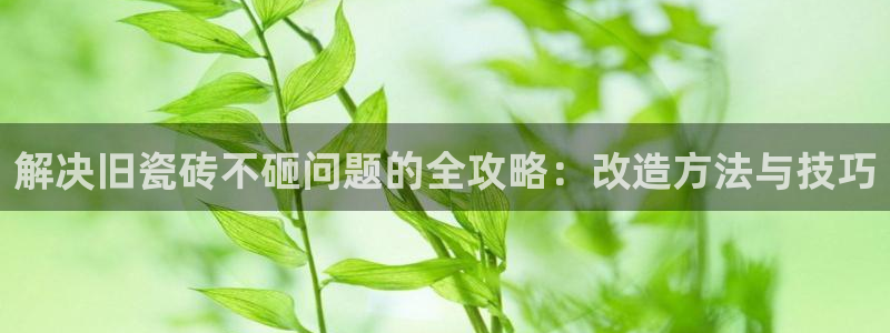 必一体育网站