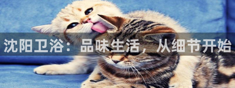 Bsport体育必一