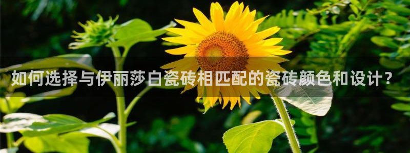 必一运动·(B-Sports)土豆