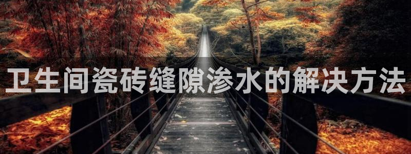必一运动bsport体育app下载