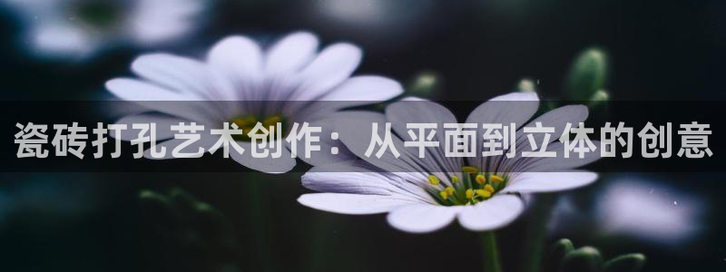 必一体育运动官网