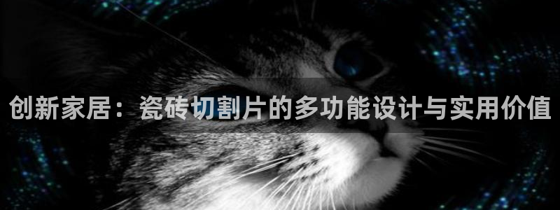 必一体育sport