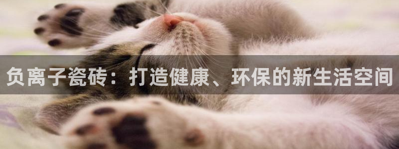 必一体育下载app