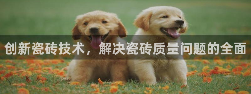 必一体育在线登陆