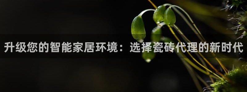 Bsport体育必一