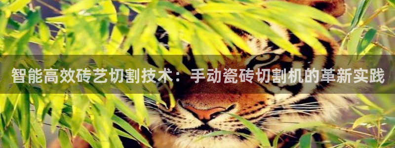 必一体育app官方下载入口