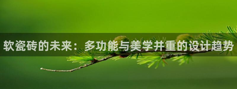 必一体育sport