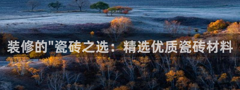 必一体育电子app