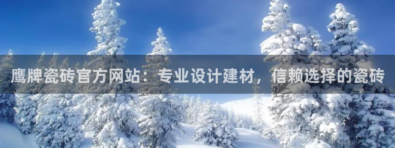 必一体育app下载装机吧