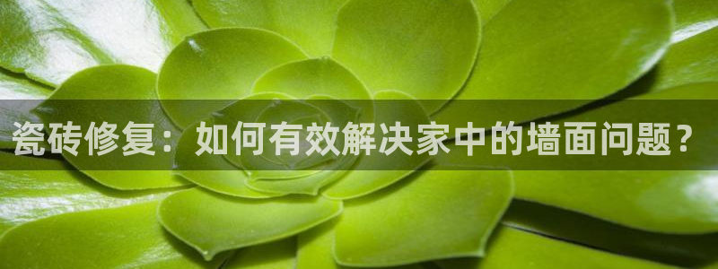 必一体育秀给网