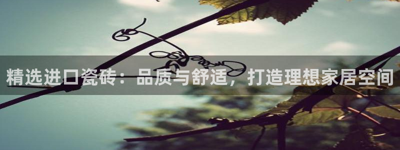 必一体育官方入口