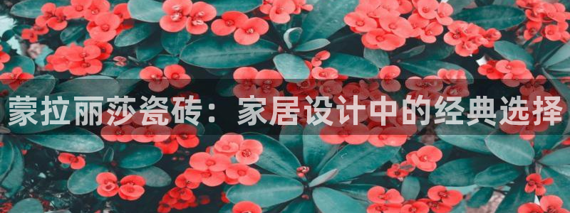 必一运动验证码