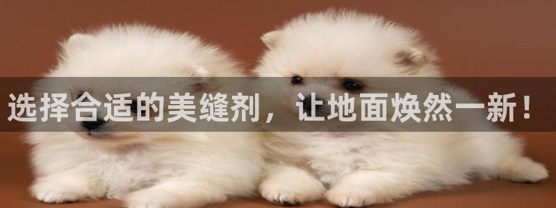 必一运动aop