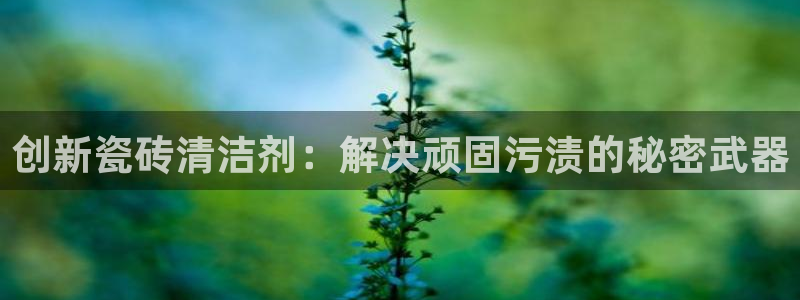 必一体育下载app